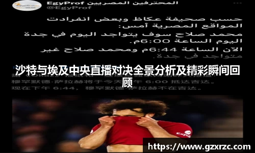 沙特与埃及中央直播对决全景分析及精彩瞬间回顾