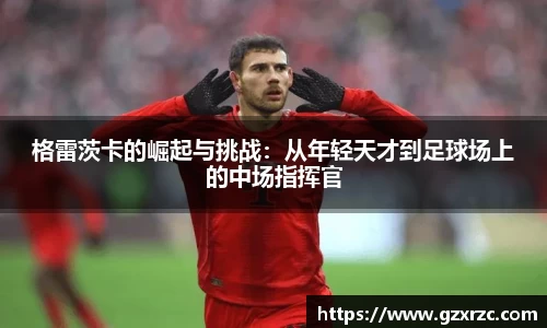 emc易倍